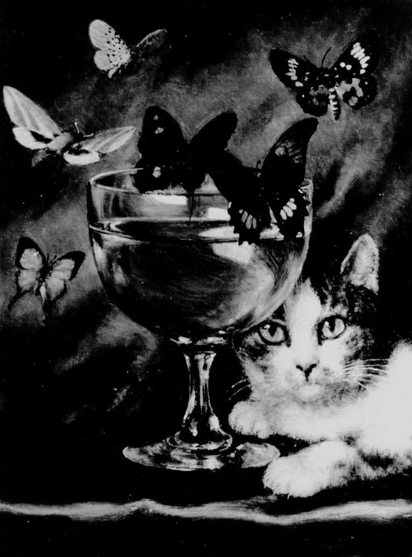 Natura morta con gatto e farfalle